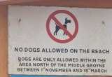 Dogs allowed on Eastern Beach as from today